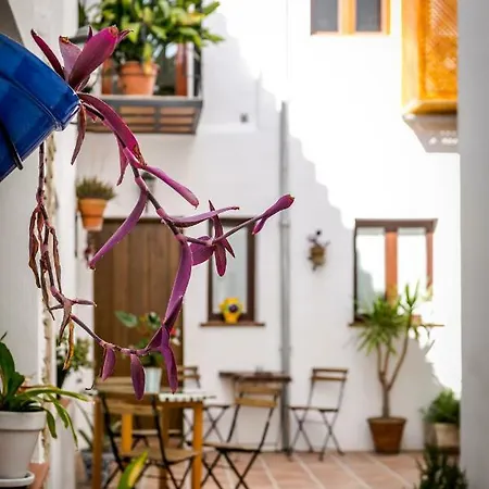 Casa Po Granada