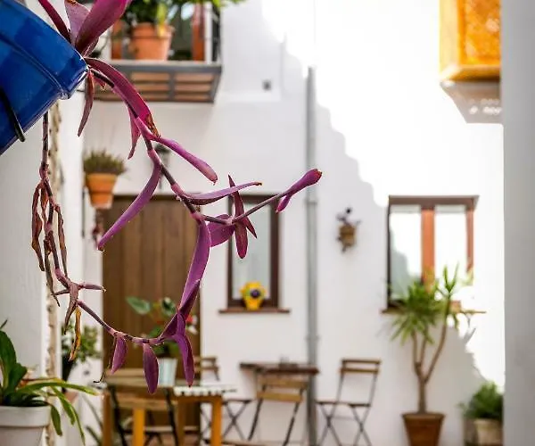 Casa Po グラナダ